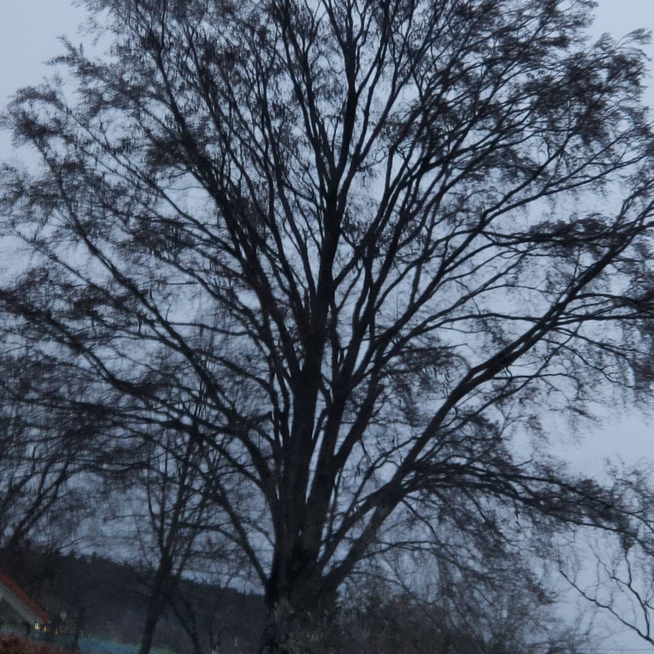 IMG20201224081231 KL